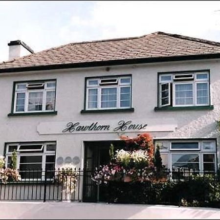 Hawthorn House Guesthouse Kenmare Zewnętrze zdjęcie