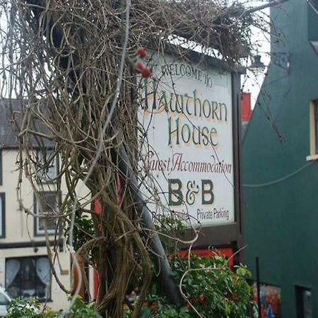 Hawthorn House Guesthouse Kenmare Zewnętrze zdjęcie
