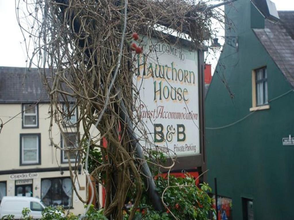 Hawthorn House Guesthouse Kenmare Zewnętrze zdjęcie